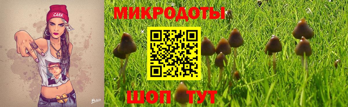 что такое наркотик  Вход с VPN  Ахтубинск  Псилоцибиновые грибы GOLDEN TEACHER 